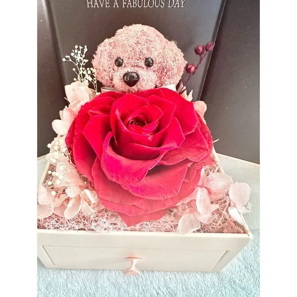 Preserved rose light pink teddy bear box with jewelry tray drawer ￼